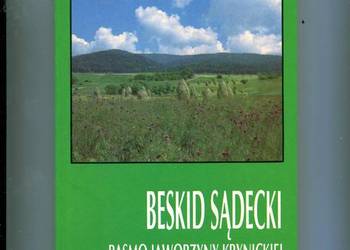 Beskid Sądecki Pasmo Jaworzyny Krynickiej