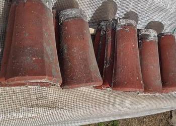 Gąsiary dachowe, rajtary niemieckie