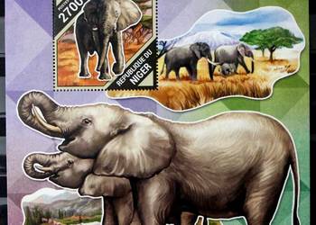 Niger ( słonie) 1