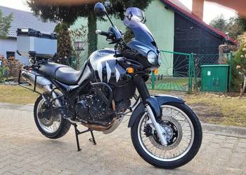 Triumpf Tiger idealny , Doinwestowany , Bezwypadkowy , zamienię