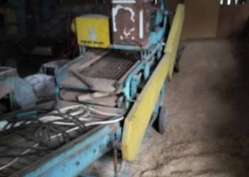 Sortownik do ziemniaków