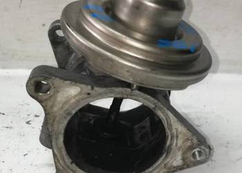 Zawór EGR VW 1.9 TDI 038131501AF