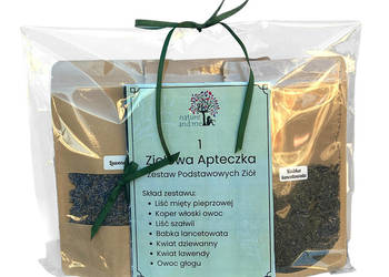 Ziołowa Apteczka Domowa nr.1 Cholegin