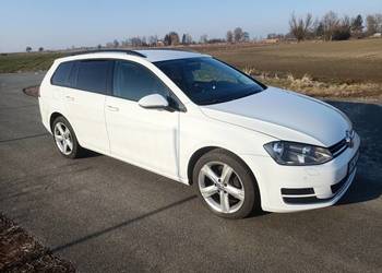 volkswagen golf 7 1.6 TDI