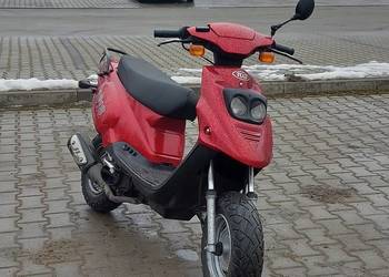 Tgb 101s Orion arisal 70 polini