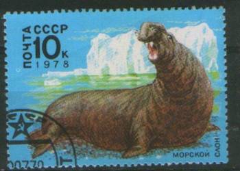 Zn. ZSRR Mi 4746 kas  1978