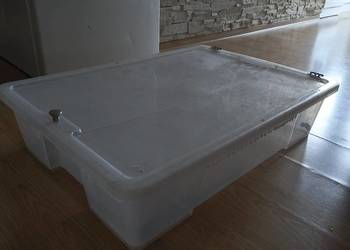 Pudełko box hodowlany terrarium