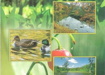 wielkopolski Park Narodowy. wielkopolski Park Narodowy.