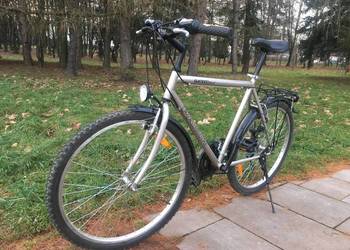 Rower Pamir Shimano 26”