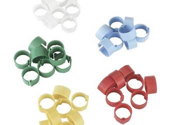 Obrączki dla drobiu, 12mm, 100 szt. VV72315