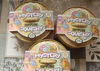 Mystery Dumpling Squishy Toy