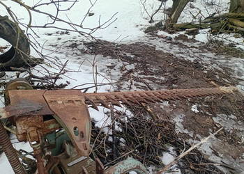 Podcinacz do porzeczek