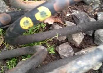 Sprężyny przednie audi 80 B4 1.9 TDI Sprężyny przednie audi 80 B4 1.9 TDI