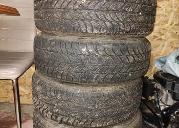 Koła zimowe z oponami Dębica Frigo R15