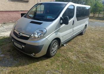 Vivaro long sprzedam
