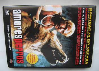 DVD: Amores Perros, polski lektor DVD: Amores Perros, polski lektor