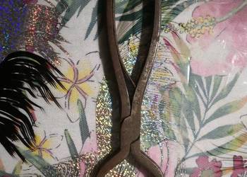 Antyczne Nożyce do Cukru