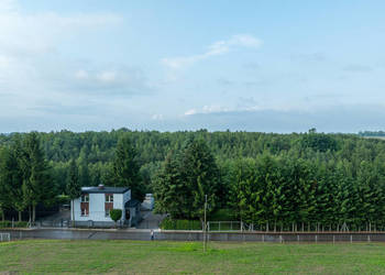 Zadbane siedlisko z 2 oddzielnymi budynkmi mieszkalnymi w jednym podwórku