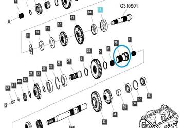 Zębatka biegów DRV TRG285 / LS Tractor / 40009134