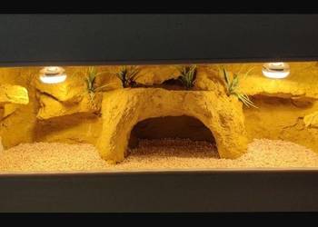 Terrarium specjalistyczne dla gekona lamparciego żółwia greckiego