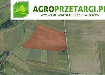 Dzierżawa 14,89 ha gruntu rolnego