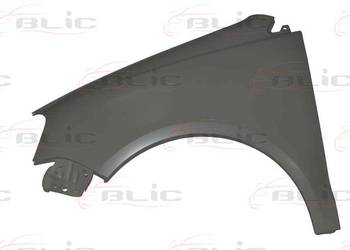 BŁOTNIK PRZEDNI LE/PR - VW POLO 04/05-08/09