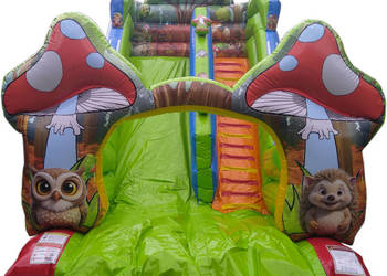 Mała dmuchana zjeżdżalnia Producent Polski z serwisem i gwarancją w Polsce