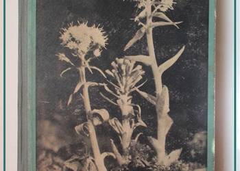 Zielony świat Tatr - Z.Radwańska - Paryska / roślinność