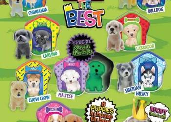 Zasyp do automatów: PUPPY CLUB FRIENDS THE BEST GOLD – 50mm (100 szt.)