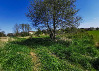 Oferta sprzedaży gruntu Złoczew 1254m2