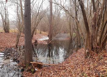 Działka budowlana z linią brzegową