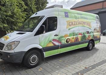 MERCEDES SPRINTER 313 CDI MAXI 2013 CHŁODNIA