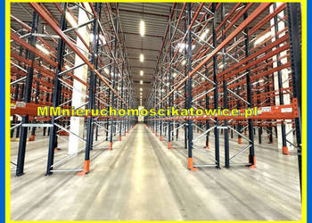 Magazyny z regałami do wynajęcia Katowice przy A4 rampy doki biura, socjal.