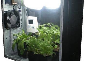 PC growbox do uprawy roślin w domu