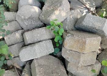 Trelinka betonowa
