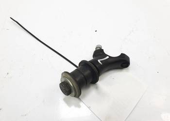 MOCOWANIE INDIAN CHIEF DARK HORSE MOCOWANIE INDIAN CHIEF DARK HORSE