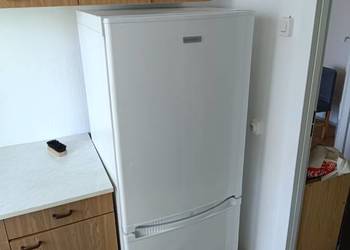 Lodówko - zamrażarka Polar 150 cm