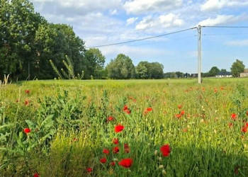 Grunt Marszowice 1000m2