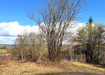 Działka Łapalice 1100m2