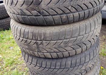 Opony Platin Zimowe 195/65 R15