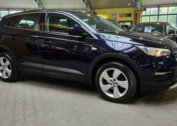 Opel Grandland X 2018/2019 ZOBACZ OPIS !! W podanej cenie roczna gwarancja