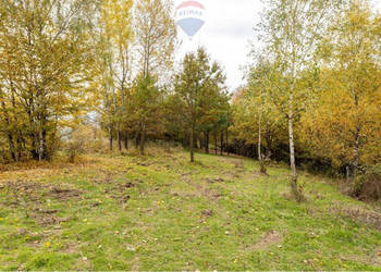 Działka leśna 862 m² w Oczkowie