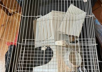 Klatka Ferplast 100 -Premium