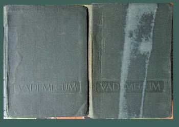Vademecum lekarza praktyka t.1-2 /1955/ medycyna/ interna
