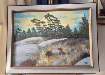 Thorpe Ake Olsson, Szwedzka natura, cenny obraz olejny