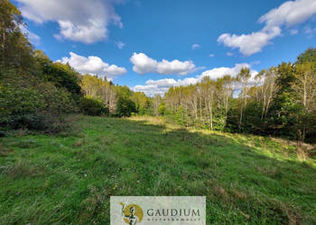 Niegdyś siedlisko-dziś Twój ruch | 5,6 ha Kobysewo