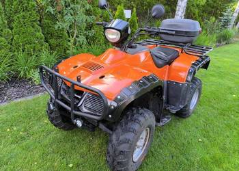 Quad Bashan 250
