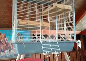 Witam mam do sprzedania klatke na papugi