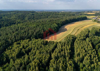 Działka Gnojnica 13000m2