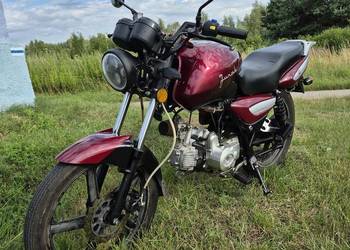 Junak 901